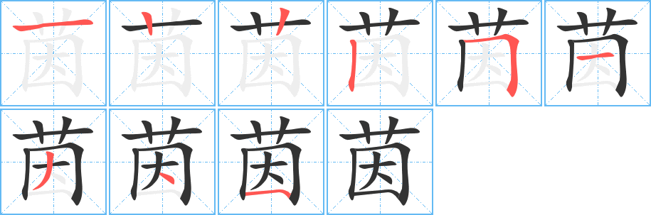茵字的笔画顺序