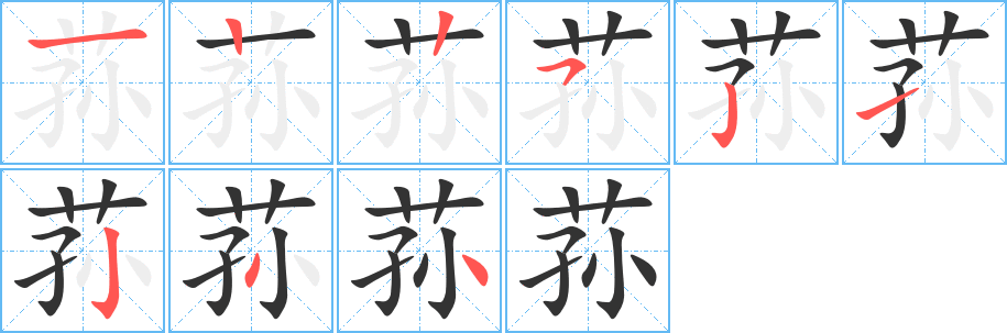 荪字的笔画顺序
