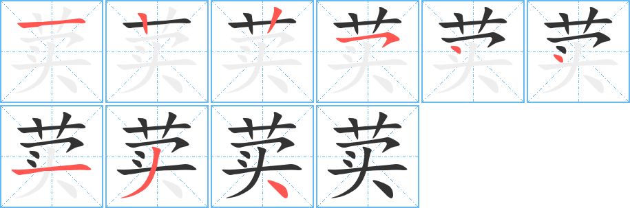 荬字的笔画顺序