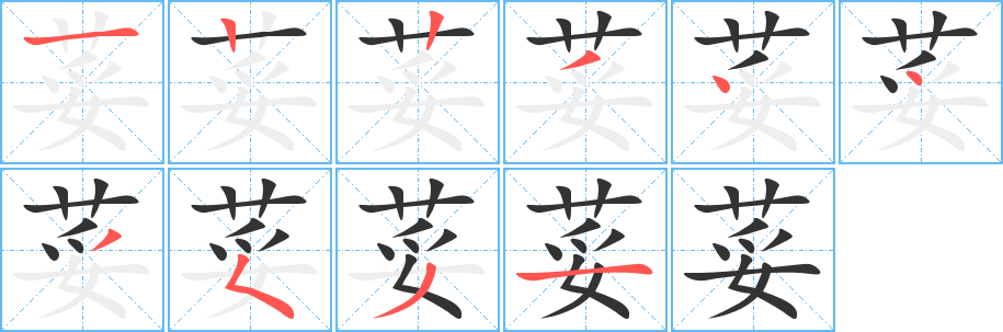荽字的笔画顺序