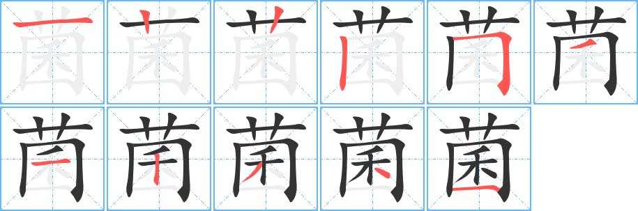 菌字的笔画顺序