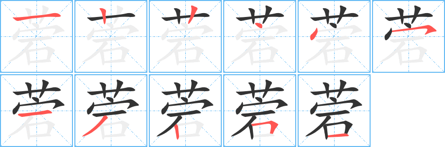 菪字的笔画顺序