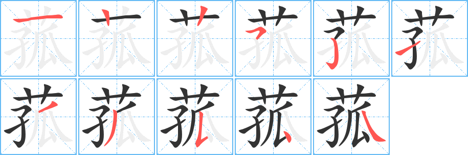 菰字的笔画顺序