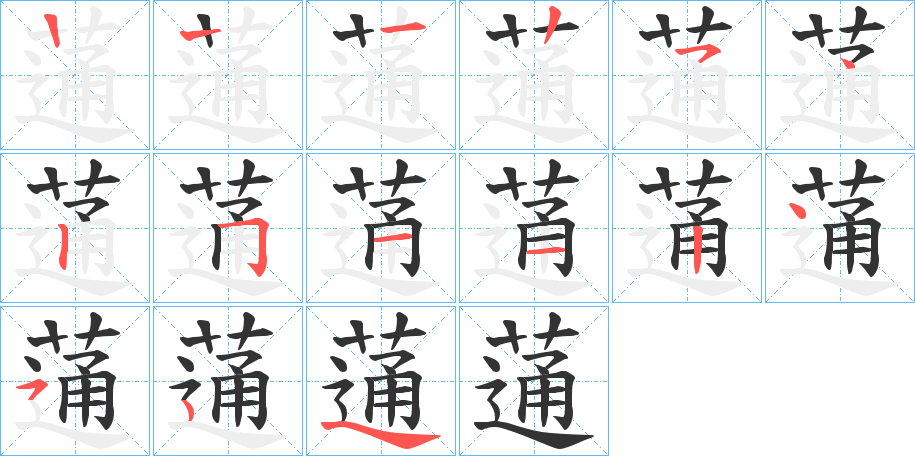 蓪字的笔画顺序