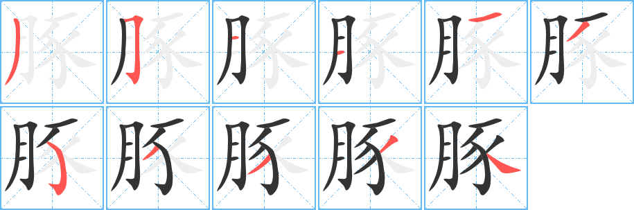 豚字的笔画顺序