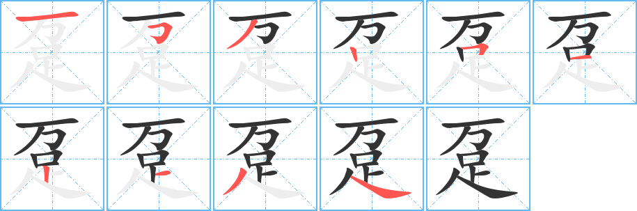 趸字的笔画顺序