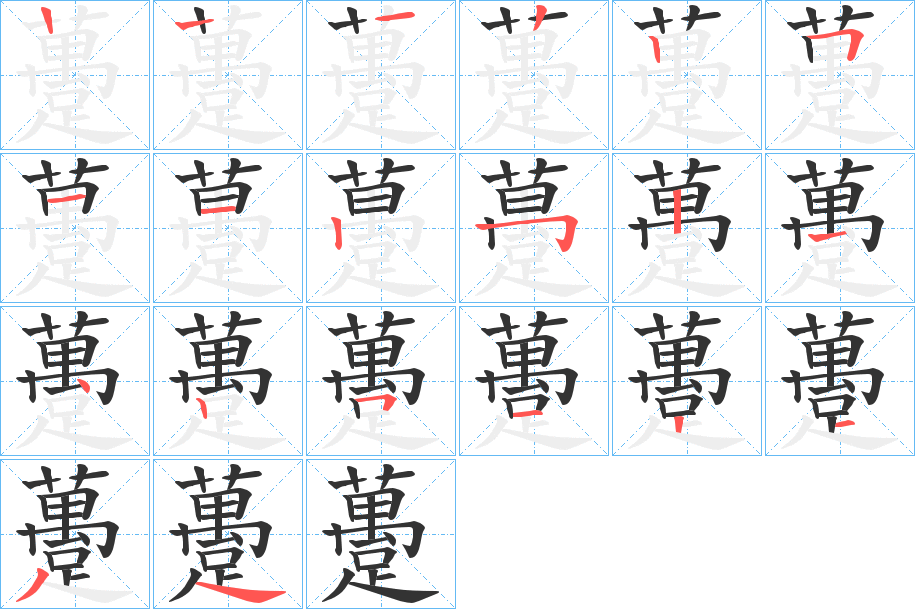 躉字的笔画顺序