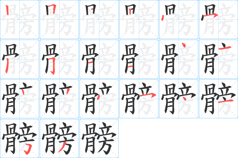 髈字的笔画顺序
