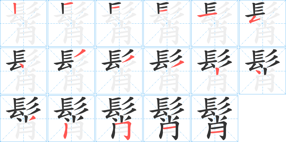 髾字的笔画顺序
