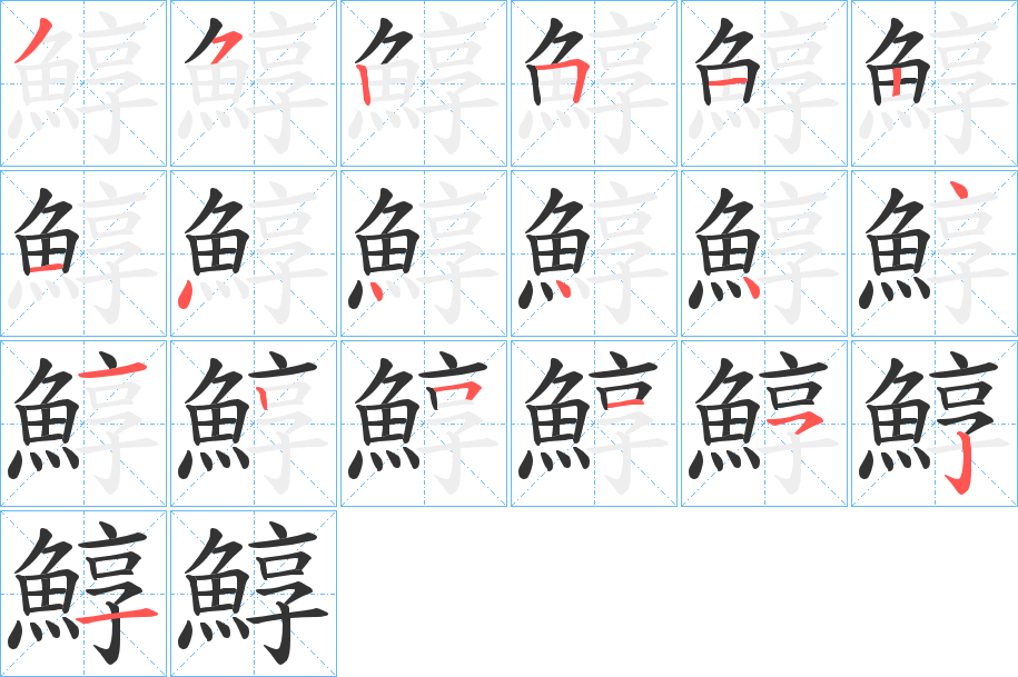 鯙字的笔画顺序