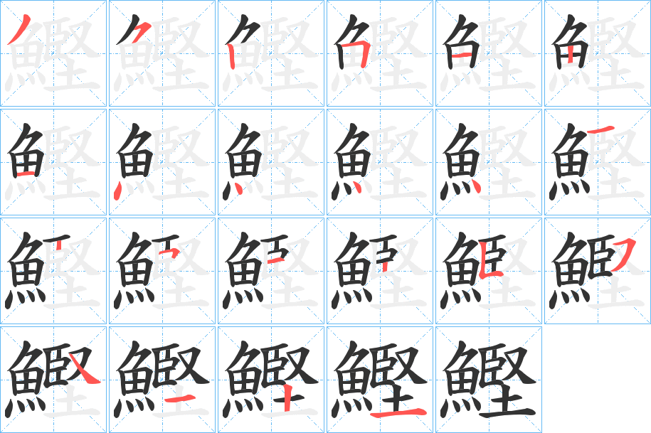 鰹字的笔画顺序