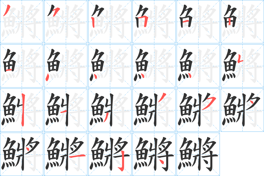 鱂字的笔画顺序