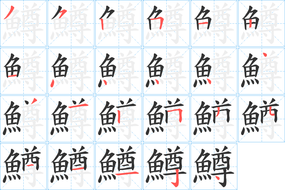 鱒字的笔画顺序
