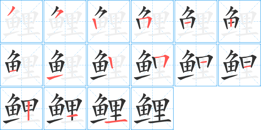 鲤字的笔画顺序