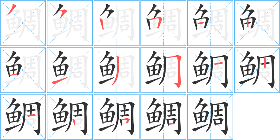 鲷字的笔画顺序