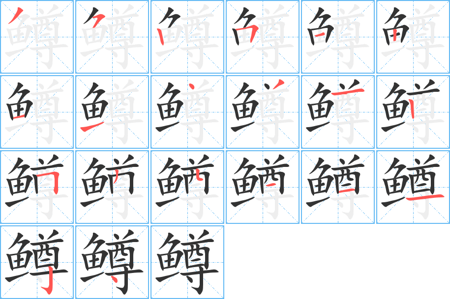 鳟字的笔画顺序