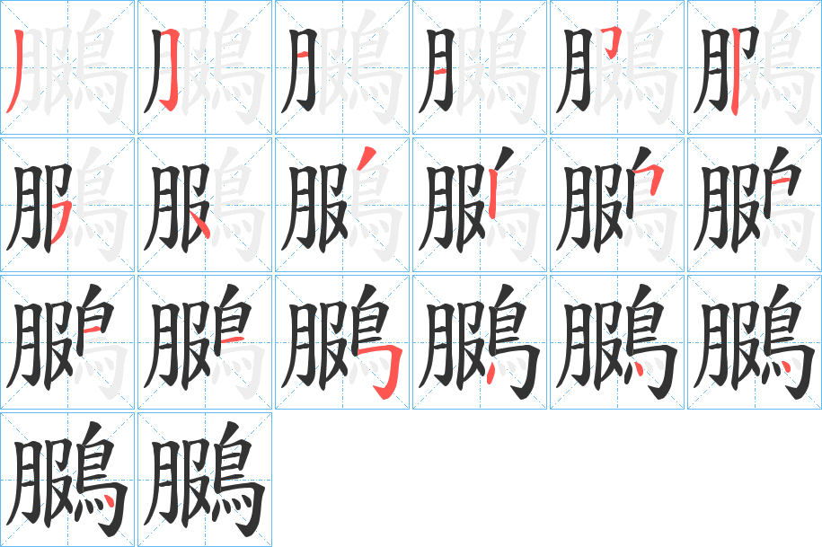 鵩字的笔画顺序