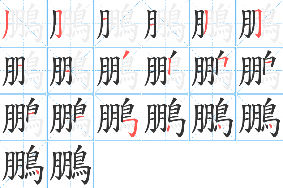 鵬字的笔画顺序