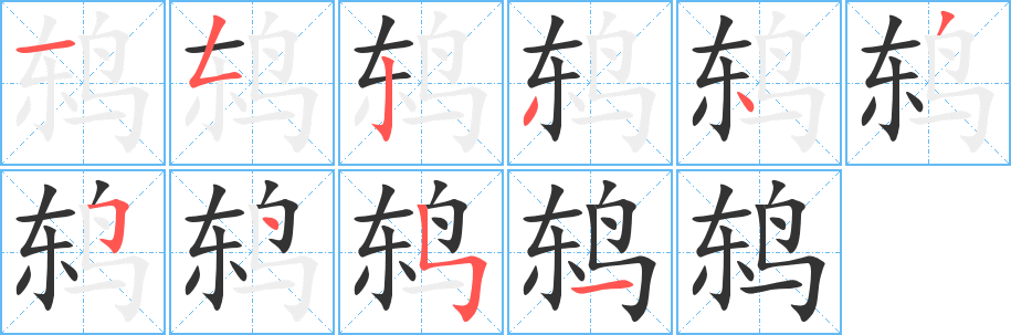 鸫字的笔画顺序